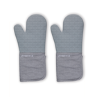 Oven Mitts (Set of 2)